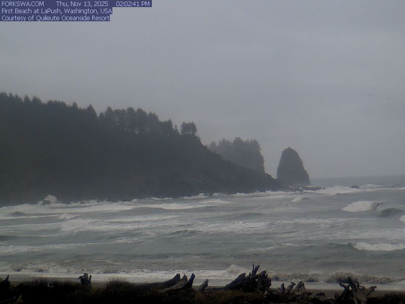 Forks WA La Push First Beach Live cam & Weather