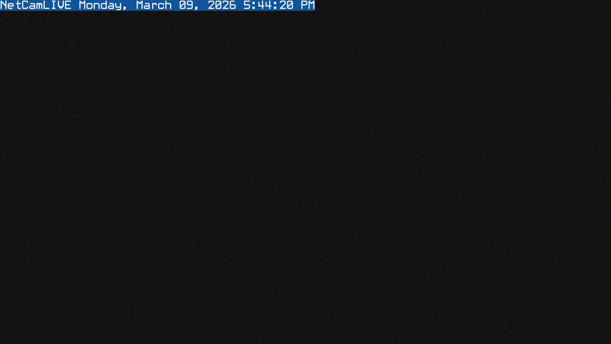 Forks Webcam