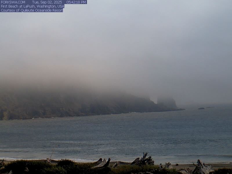 Web camera for First Beach