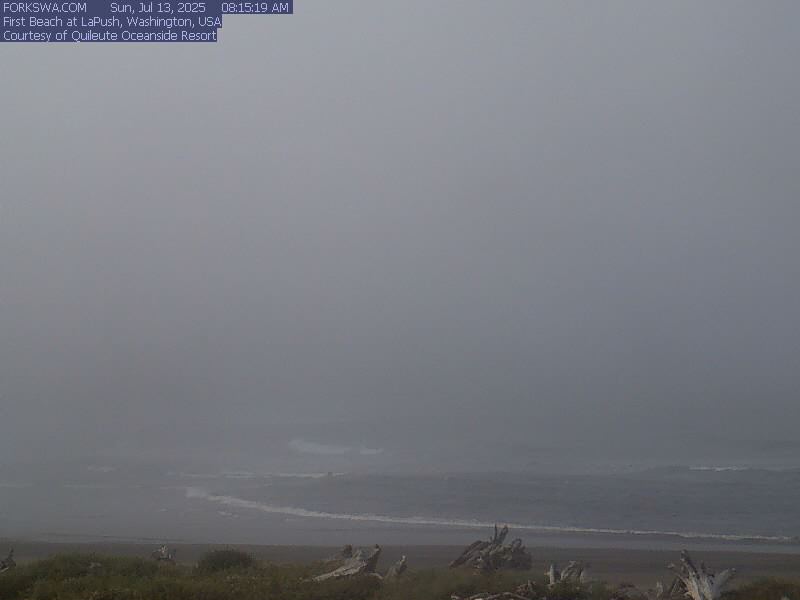Web camera for First Beach